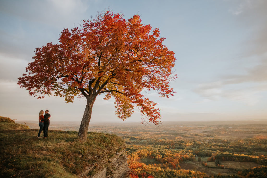 Fall- Trees- Leaves- Engagement- Photo.jpg